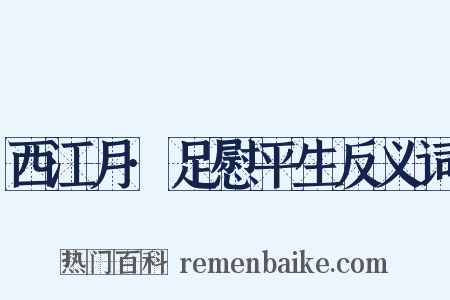 西江月·足慰平生反义词是什么意思的图片